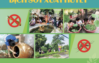 Cẩm nang phòng, chống dịch Sốt xuất huyết